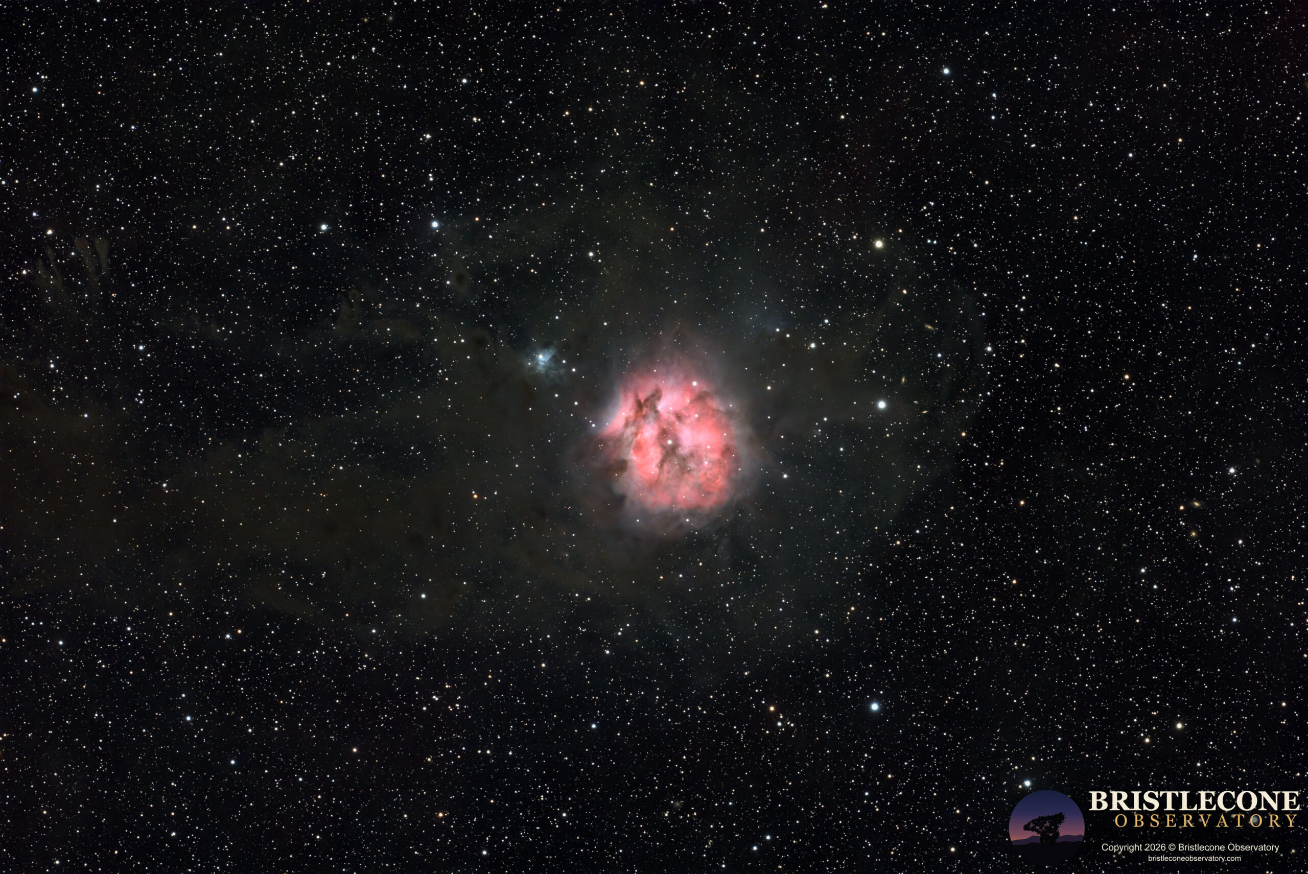 Cocoon Nebula