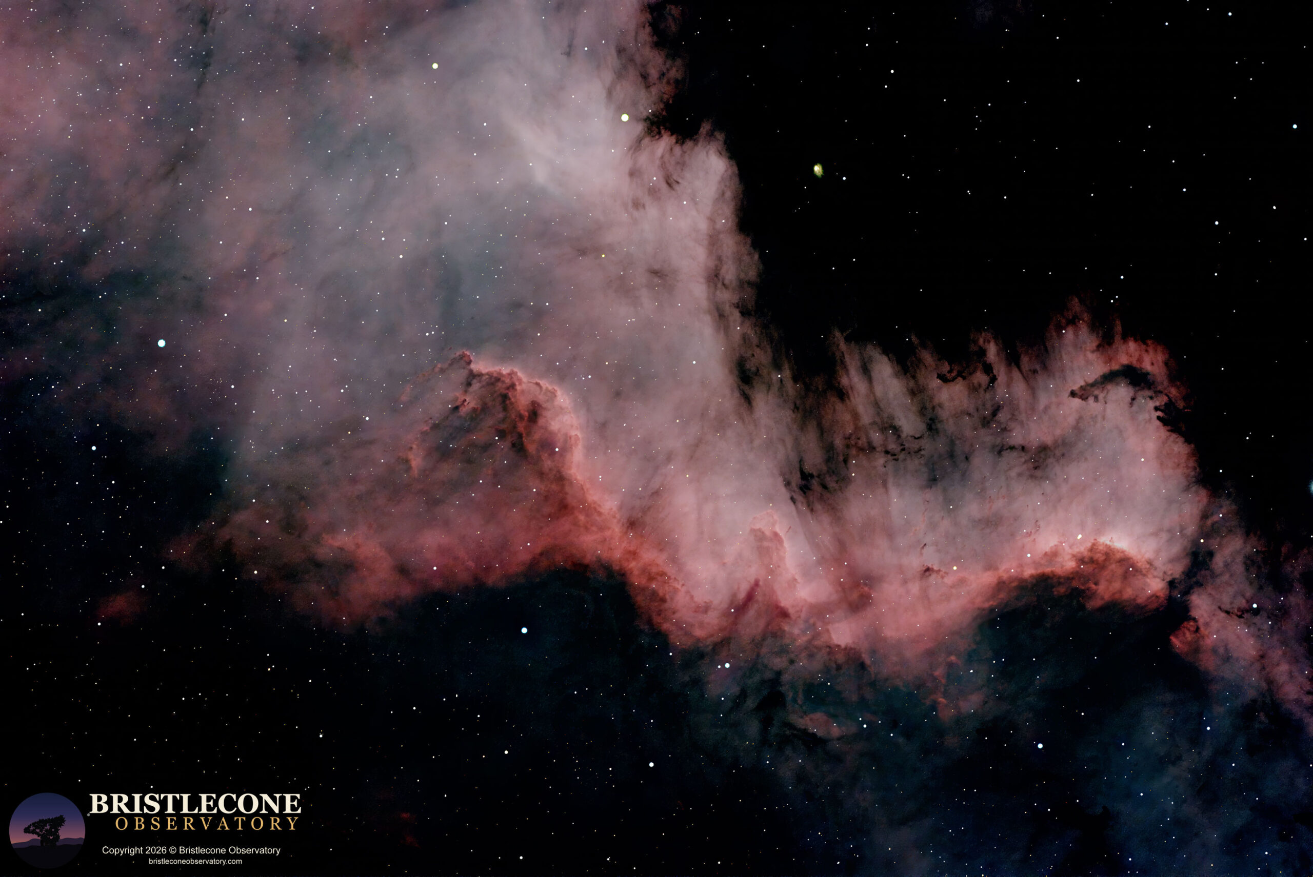 Cygnus Wall