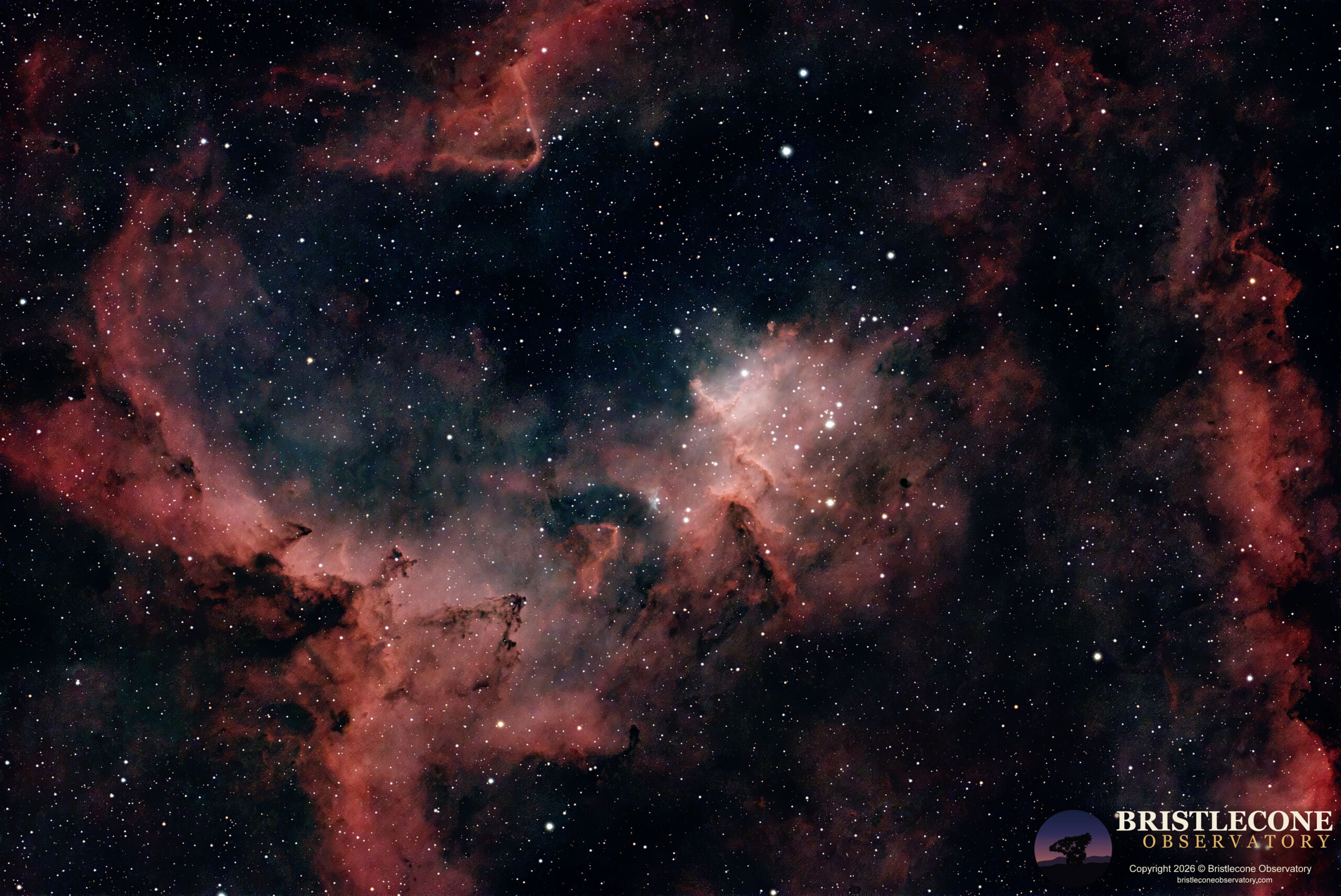 Heart Nebula