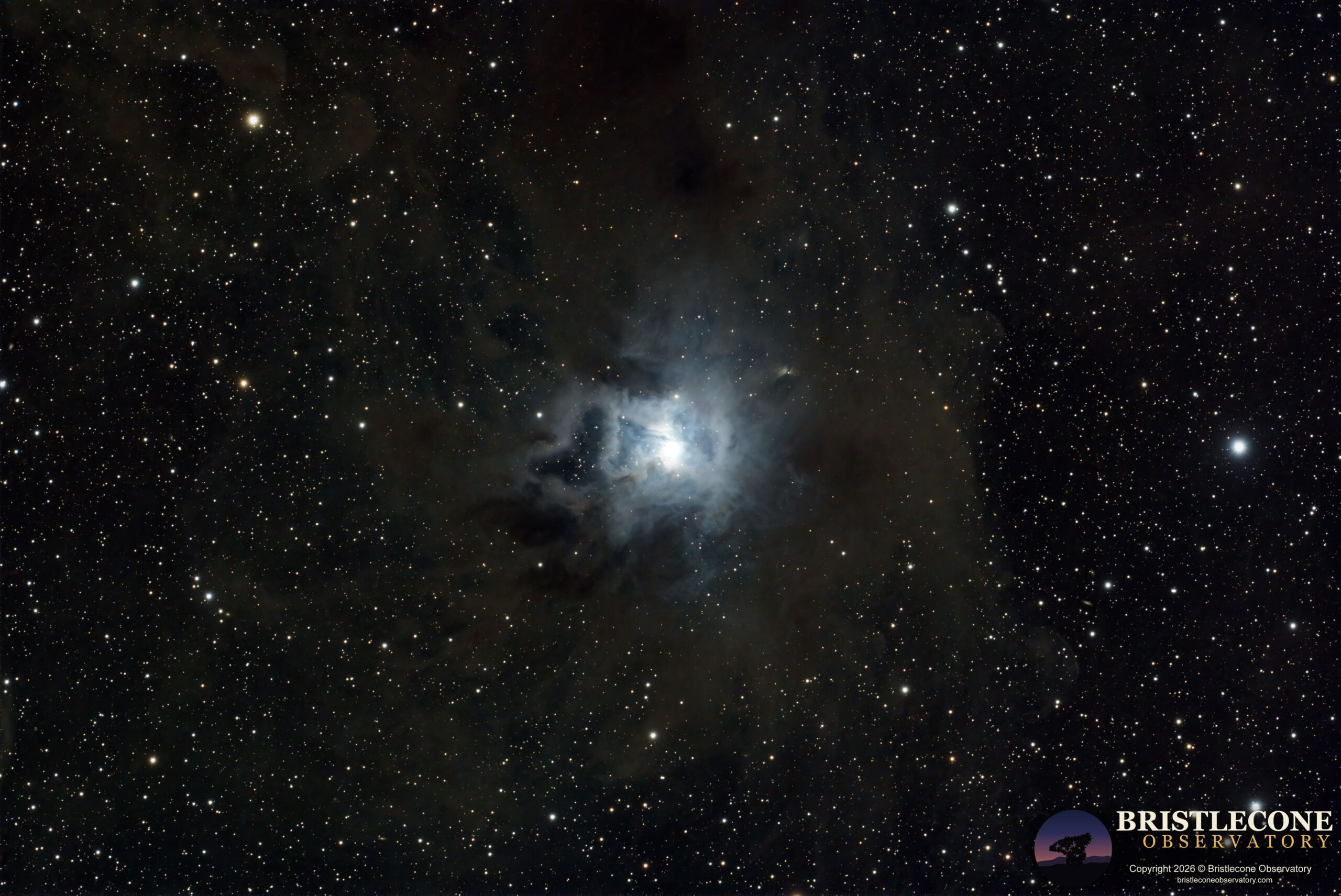 Iris Nebula