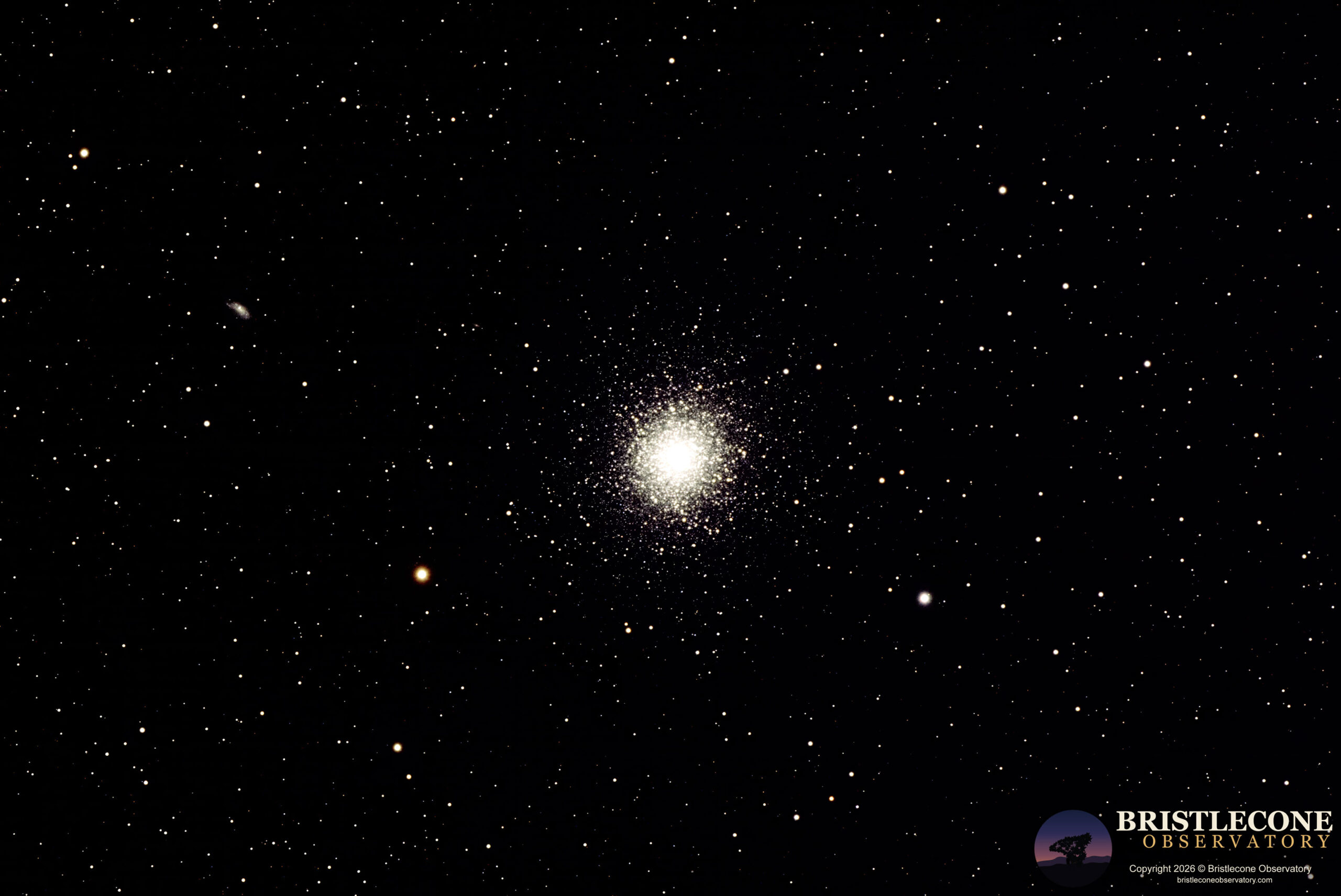 M13