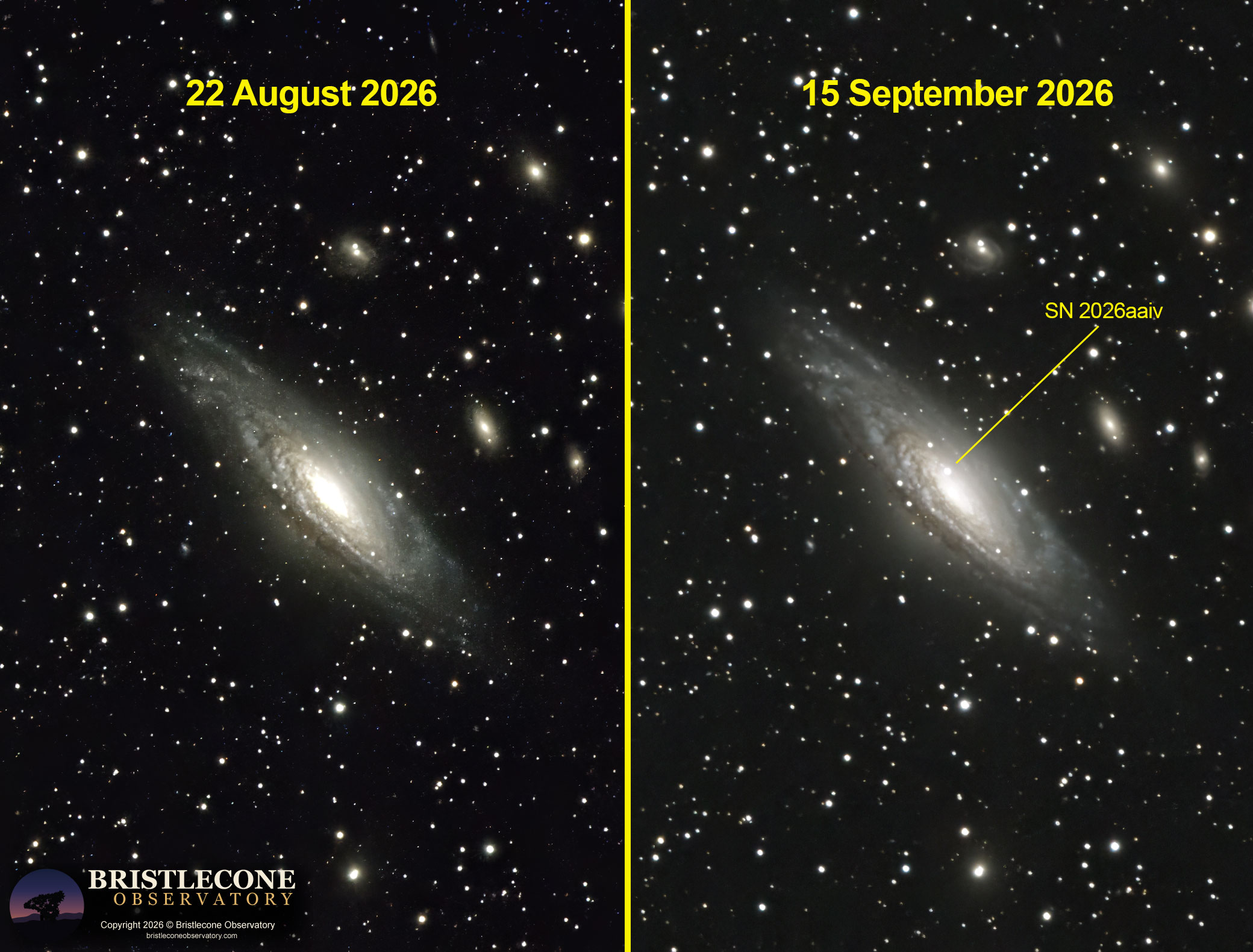 Supernova SN2026aaiv in NGC7331
