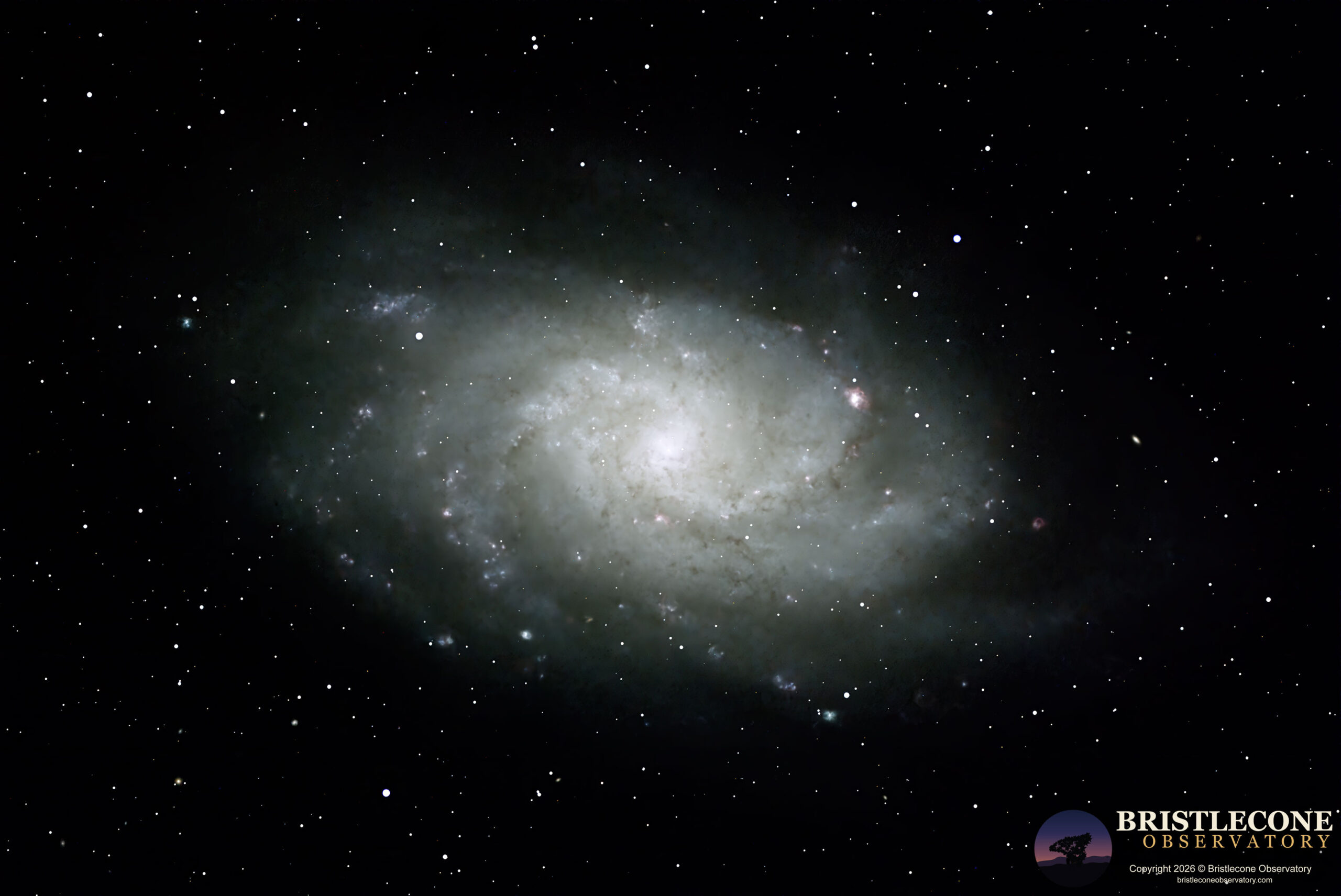 Triangulum Galaxy